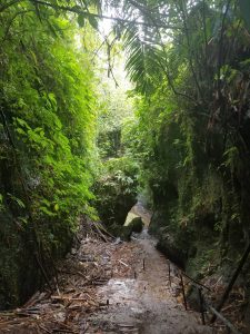 Tukad Cepung Waterfall