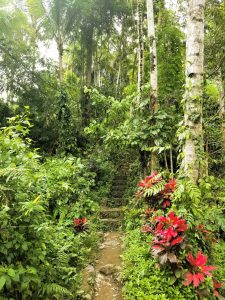 Tukad Cepung Waterfall