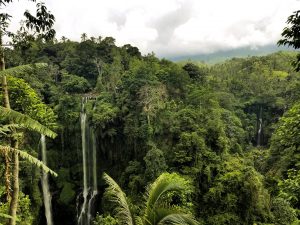 Sekumpul Waterfall