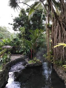 Tabacon Hot Springs