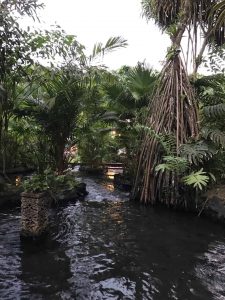 Tabacon Hot Springs river