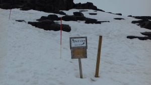 Dettifoss trail