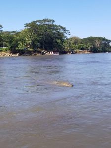 Joses Crocodile Tour