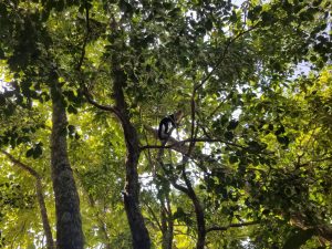 Manuel Antonio NP