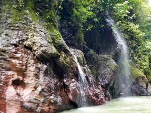 Pacuare river