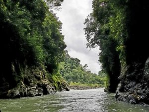 Pacuare river rafting