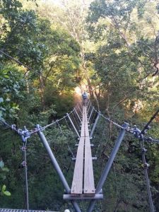 Rio Perdido hanging bridges