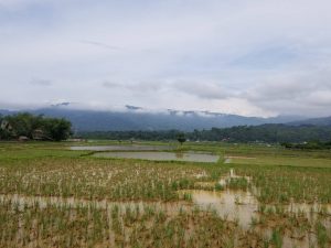 Objek Wisata Kalimbuang Bori