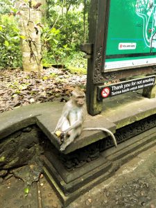 Jalan Monkey Forest