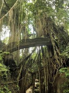 Jalan Monkey Forest