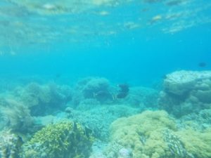 Bunaken National Marine Park