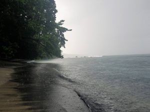 tangkoko batuangus nature reserve