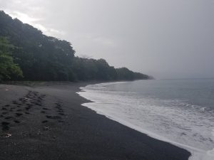 tangkoko batuangus nature reserve