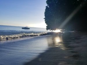 tangkoko batuangus nature reserve