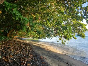 tangkoko batuangus nature reserve