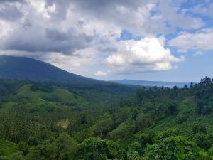 tangkoko national park