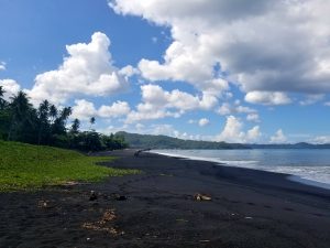 tangkoko national park