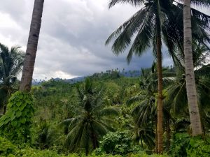 tangkoko national park