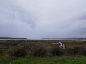 Lagoa de Óbidos