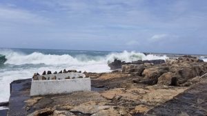 Ericeira