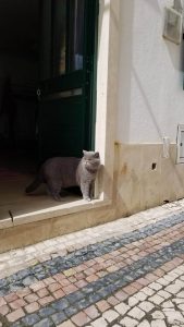 Nazaré